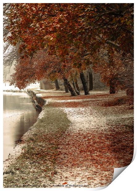 Snowy Wansbeck River Walk Print by Bear Newbury