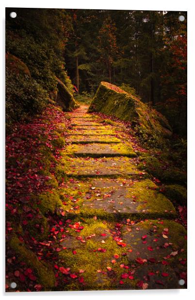 Cragside Steps Autumn 2 Acrylic by Bear Newbury