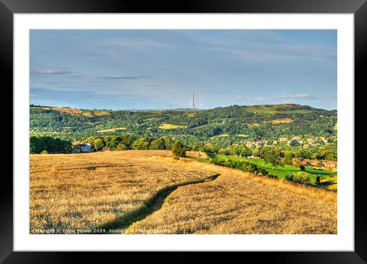 Holmfirth Footpath to Emley Moor Framed Mounted Print by Diana Mower