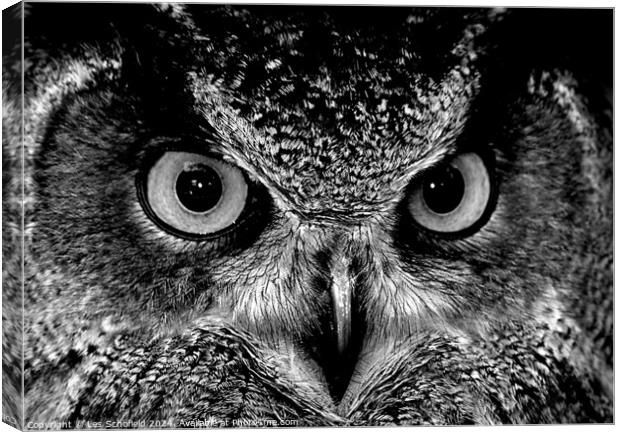 Owl eyes Canvas Print by Les Schofield