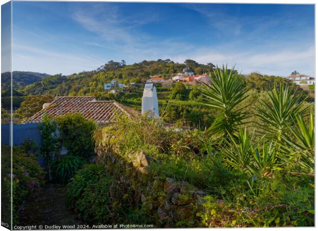 Penedo village Canvas Print by Dudley Wood