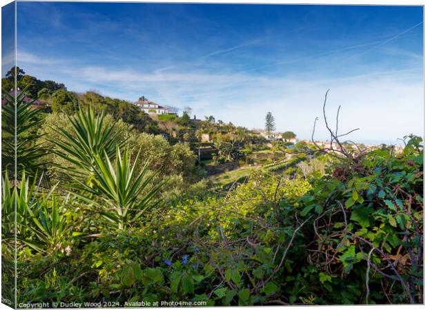 Penedo village 2 Canvas Print by Dudley Wood