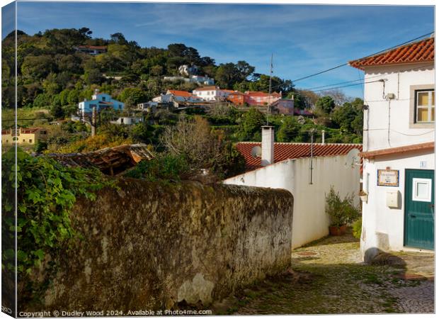 Penedo village 3 Canvas Print by Dudley Wood