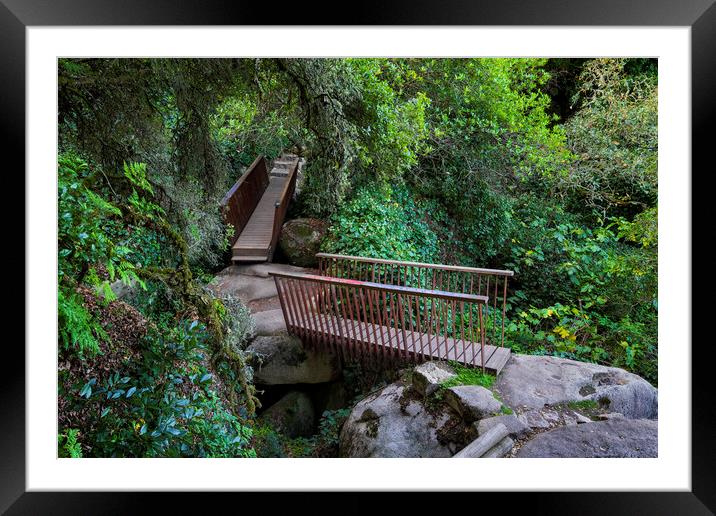 Hiking Trail Through Sintra Mountains, Portugal Framed Mounted Print by Artur Bogacki