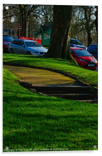 Sunny park with green grass and a pathway leading through trees, with parked cars in the background in Harrogate, England. Acrylic by Man And Life