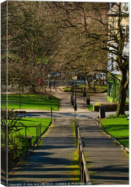 Sunny park pathway with trees casting shadows, green grass and benches, urban tranquil scene in Harrogate, England. Canvas Print by Man And Life