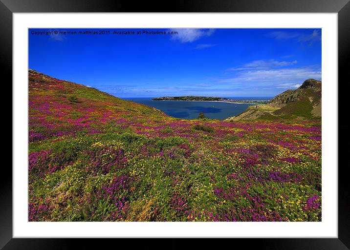llandudno and the great orme Framed Mounted Print by meirion matthias