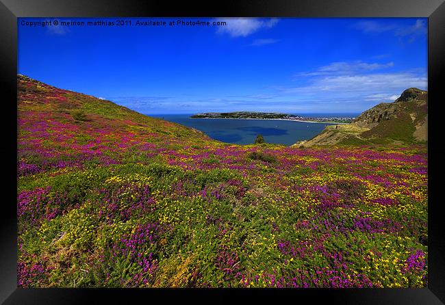 llandudno and the great orme Framed Print by meirion matthias
