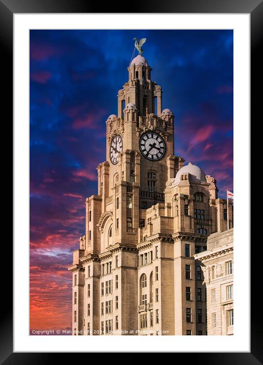 Historic clock tower building against a vibrant sunset sky in Liverpool, UK. Framed Mounted Print by Man And Life