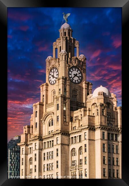 Liver Building in Liverpool, UK against a dramatic sunset sky Framed Print by Man And Life