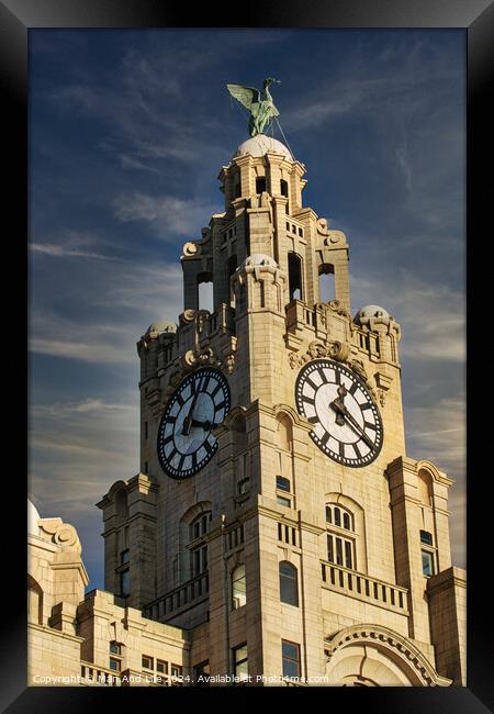 Historic clock tower against a blue sky with clouds, architectural detail, and a statue on top in Liverpool, UK. Framed Print by Man And Life