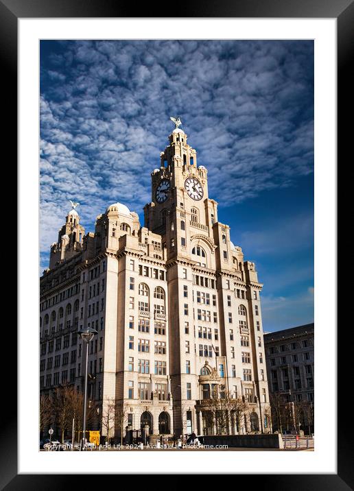 Historic clock tower building against a blue sky with clouds in Liverpool, UK. Framed Mounted Print by Man And Life