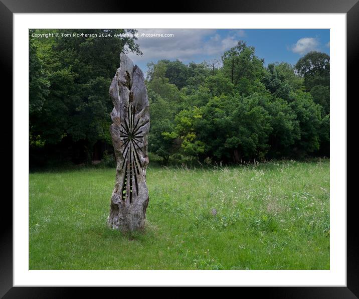 Sculpture at  Kingley Vale Framed Mounted Print by Tom McPherson