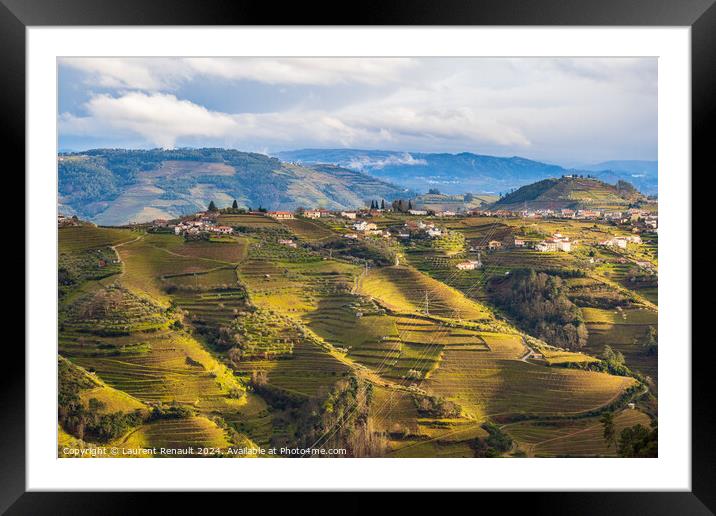View of the Douro valley with the vineyards of the terraced fiel Framed Mounted Print by Laurent Renault