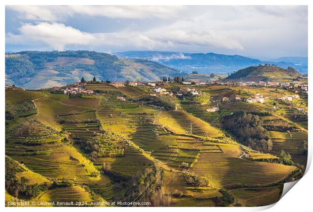View of the Douro valley with the vineyards of the terraced fiel Print by Laurent Renault