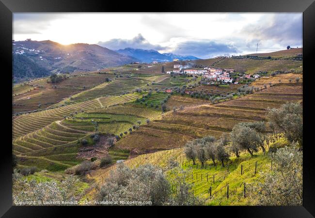 View of the Douro valley with the terraced vineyards and olive t Framed Print by Laurent Renault