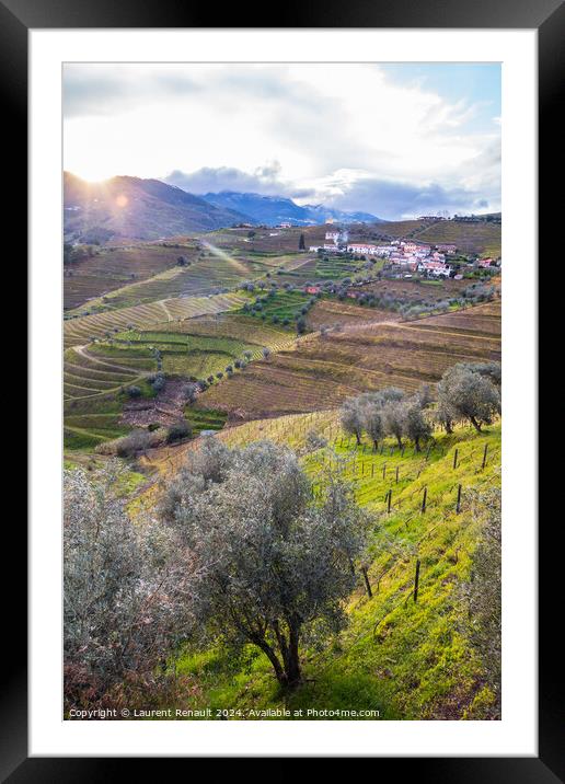 Vertical view of the Douro valley with the terraced vineyards an Framed Mounted Print by Laurent Renault