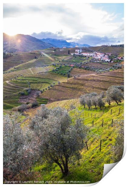 Vertical view of the Douro valley with the terraced vineyards an Print by Laurent Renault