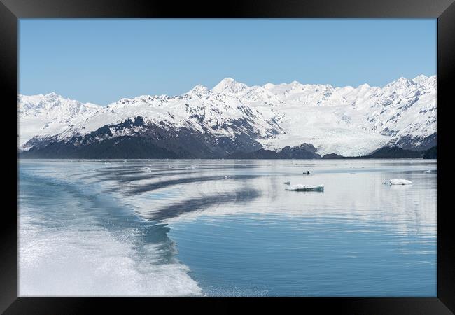 Harvard Tidewater Glacier at the end of College Fjord, Alaska, USA Framed Print by Dave Collins