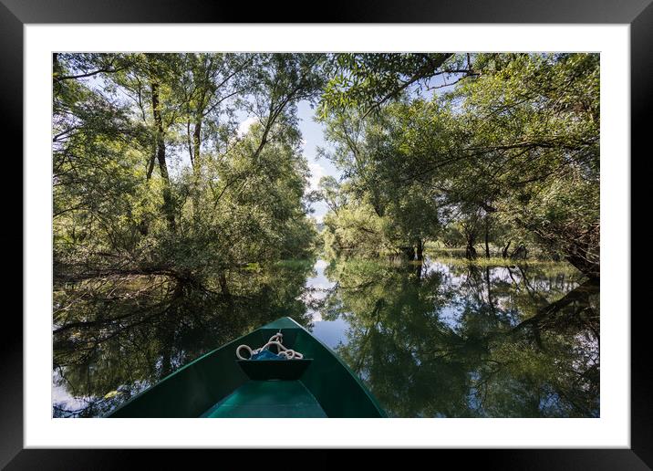 Amazon feel in Lake Skadar Framed Mounted Print by Jason Wells