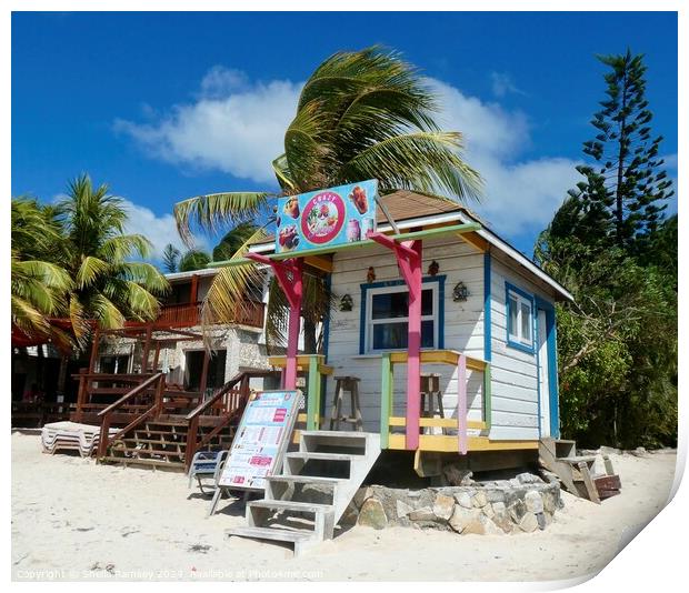 Traditional Beach Shop Roatan Island Honduras Print by Sheila Ramsey