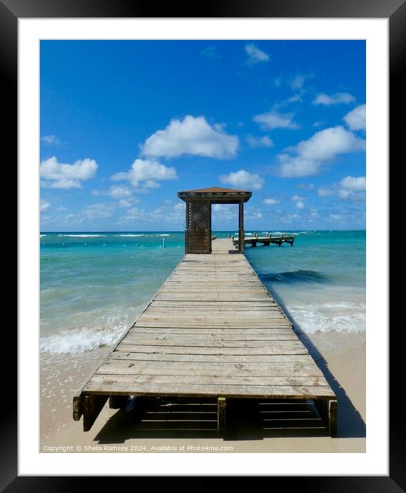 Wooden Jetty Cozumel Island Framed Mounted Print by Sheila Ramsey