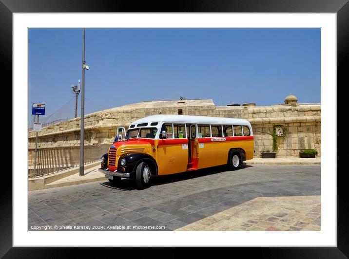 Vintage Malta Bus Framed Mounted Print by Sheila Ramsey