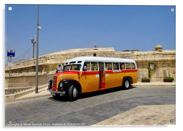 Vintage Malta Bus Acrylic by Sheila Ramsey