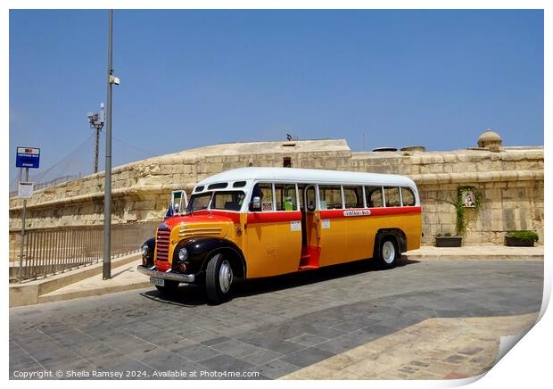 Vintage Malta Bus Print by Sheila Ramsey