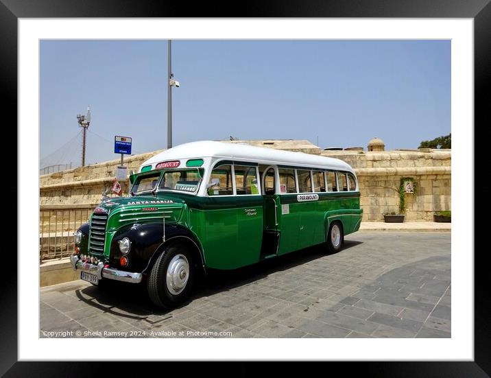 Vintage Malta Bus Framed Mounted Print by Sheila Ramsey