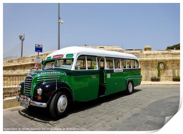 Vintage Malta Bus Print by Sheila Ramsey