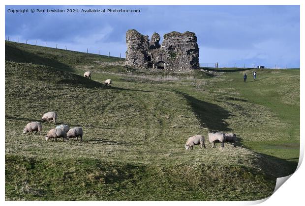 Lammer Castle with sheep  Print by Paul Leviston