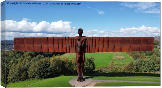 Angel of the North Canvas Print by Shawn Williams
