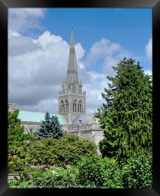 Chichester Cathedral West Sussex Framed Print by Diana Mower