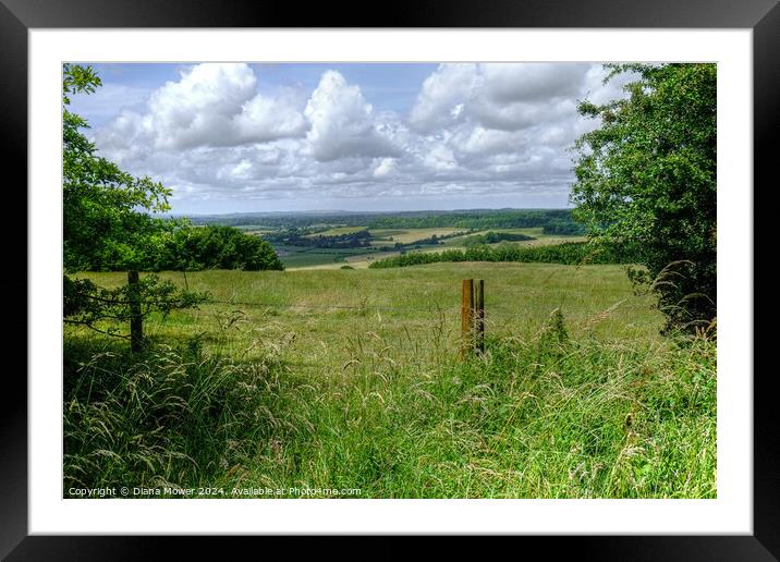 Kingley Vale West Sussex Framed Mounted Print by Diana Mower