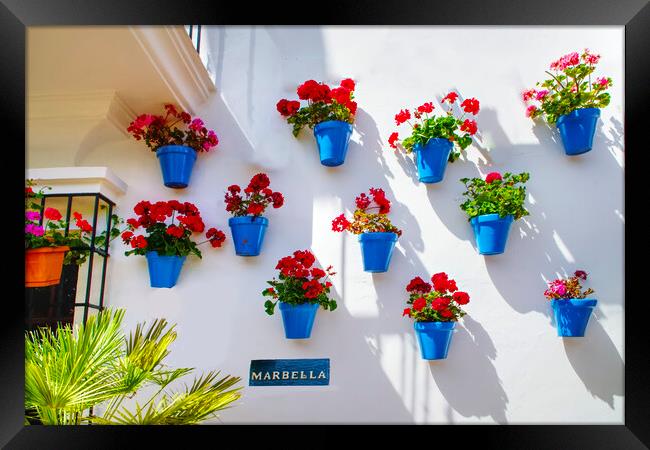Marbella Geraniums  Framed Print by Alison Chambers