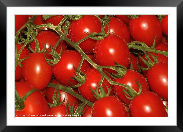 Tomatoes Framed Mounted Print by Les Schofield