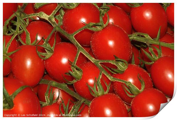 Tomatoes Print by Les Schofield
