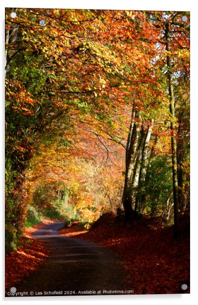 Autumn Lane Acrylic by Les Schofield