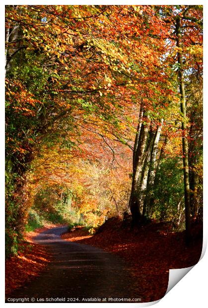 Autumn Lane Print by Les Schofield