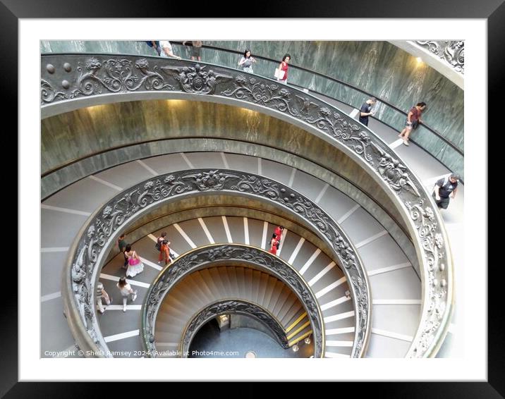 The Spiral Staircase Vatican Museum Rome Framed Mounted Print by Sheila Ramsey
