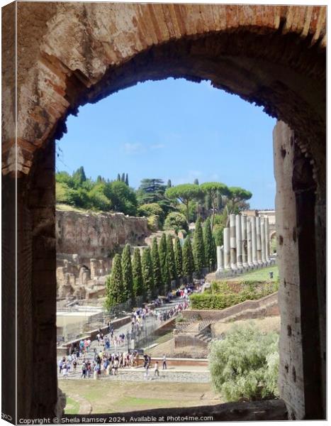 View Of Roman  Forum From The Colosseum  Canvas Print by Sheila Ramsey