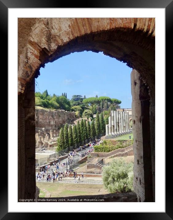 View Of Roman  Forum From The Colosseum  Framed Mounted Print by Sheila Ramsey