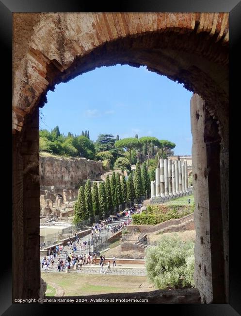 View Of Roman  Forum From The Colosseum  Framed Print by Sheila Ramsey