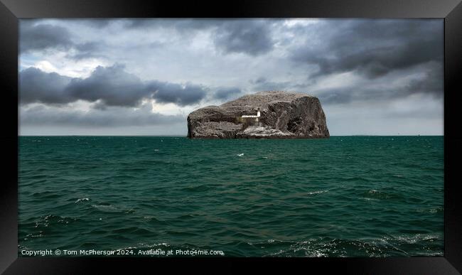 Bass Rock Framed Print by Tom McPherson