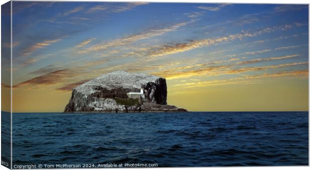 Bass Rock Canvas Print by Tom McPherson