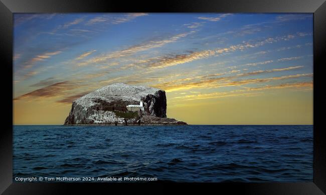 Bass Rock Framed Print by Tom McPherson