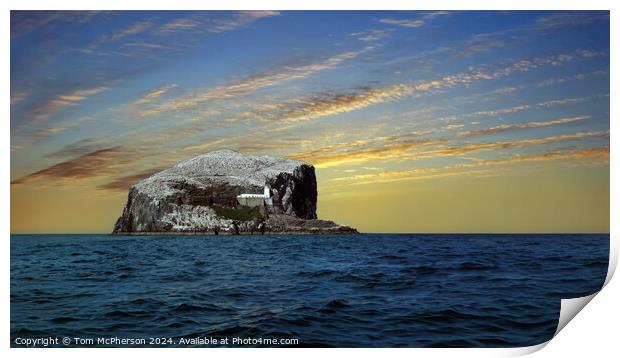 Bass Rock Print by Tom McPherson