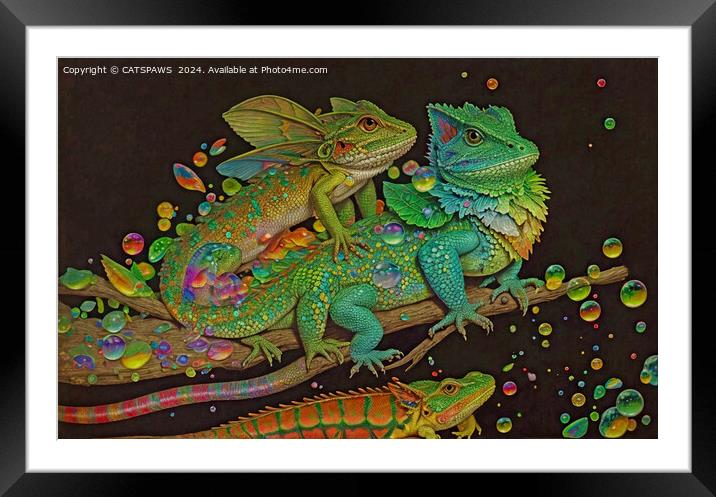 COOL CHAMELEONS Framed Mounted Print by CATSPAWS 