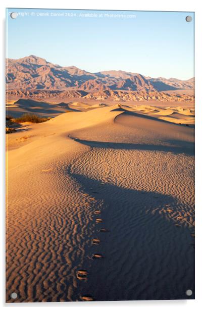 Mesquite Sand Dunes, Stovepipe Wells, Death Valley Acrylic by Derek Daniel